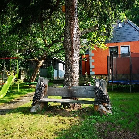 Vila Ferienhaus Franz - An Der Elbe, Mit Grossem Garten Pirna Exteriér fotografie