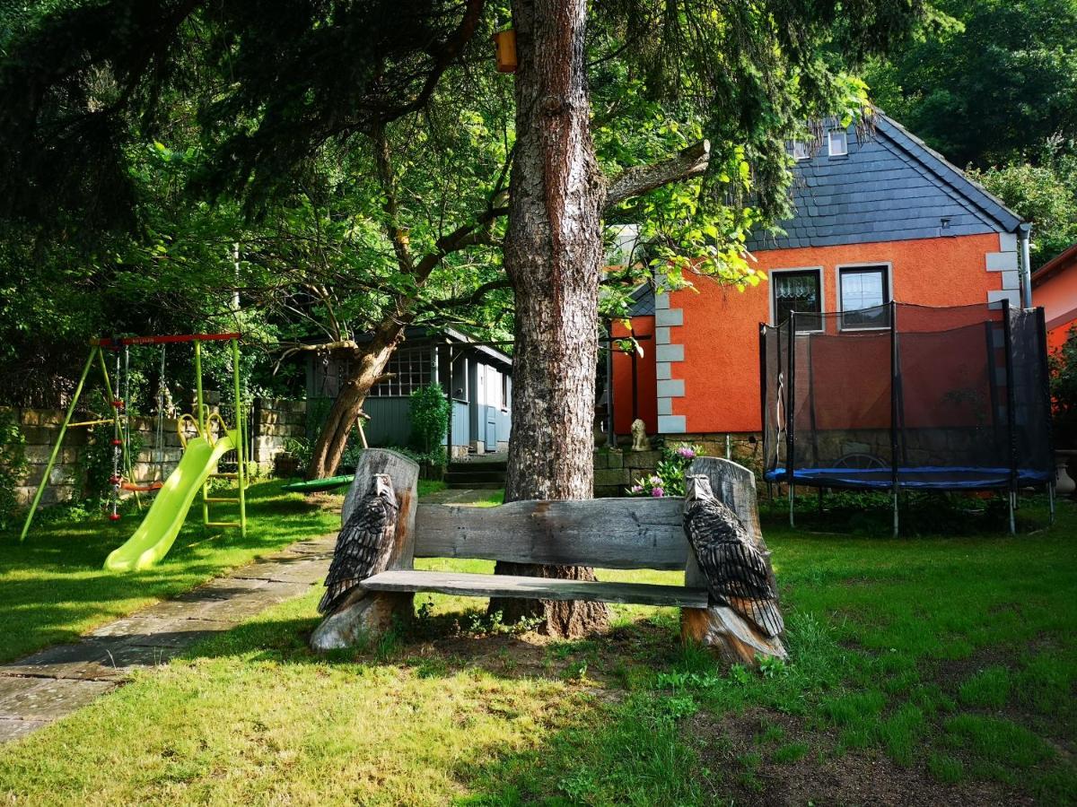 Ferienhaus Franz - An Der Elbe, Mit Grossem Garten Pirna Exteriér fotografie