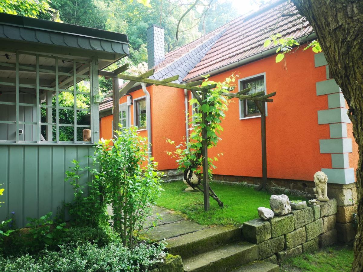 Ferienhaus Franz - An Der Elbe, Mit Grossem Garten Pirna Exteriér fotografie
