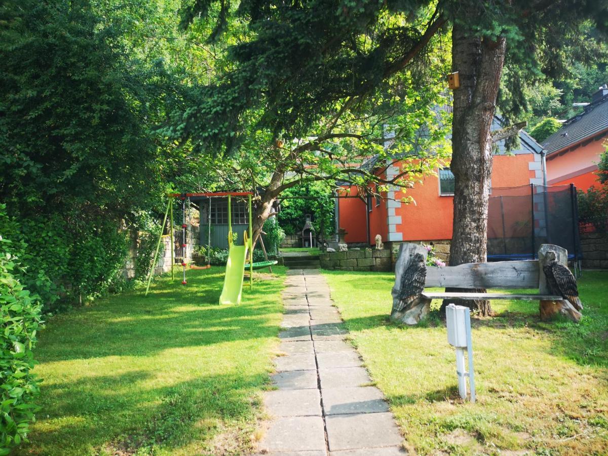 Ferienhaus Franz - An Der Elbe, Mit Grossem Garten Pirna Exteriér fotografie