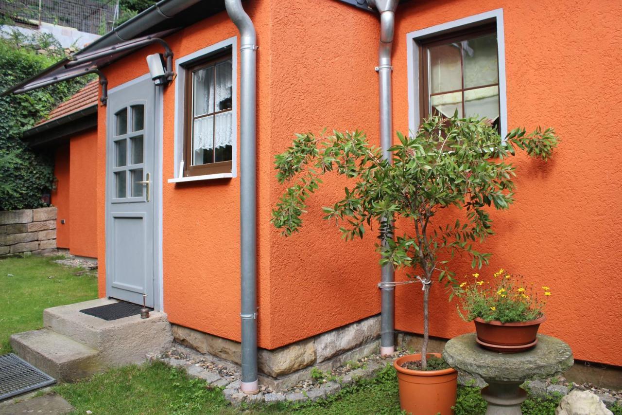 Ferienhaus Franz - An Der Elbe, Mit Grossem Garten Pirna Exteriér fotografie
