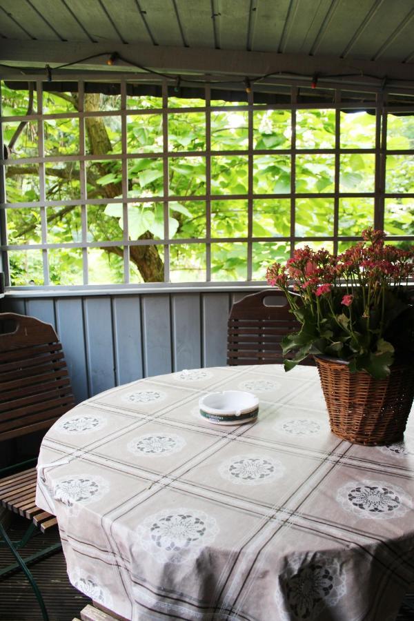 Ferienhaus Franz - An Der Elbe, Mit Grossem Garten Pirna Exteriér fotografie